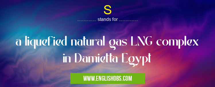 S means a liquefied natural gas LNG complex in Damietta Egypt S