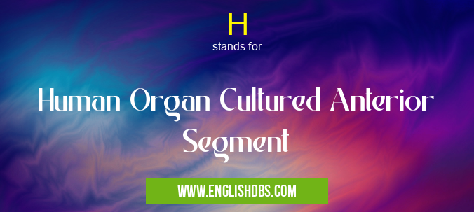 H means Human Organ Cultured Anterior Segment H