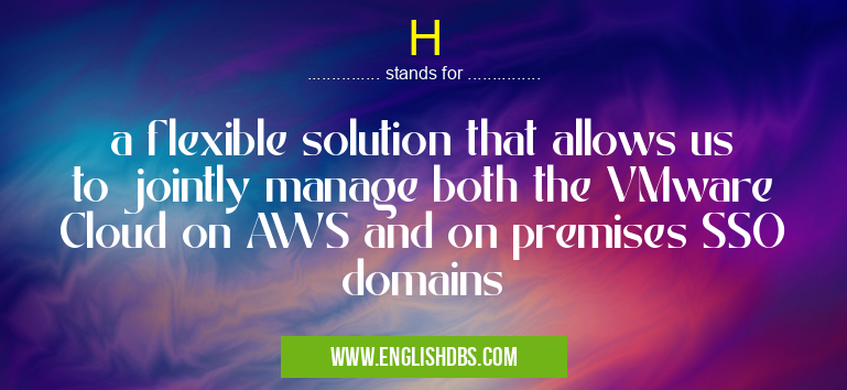 H means a flexible solution that allows us to jointly manage both the VMware Cloud on AWS and on premises SSO domains H