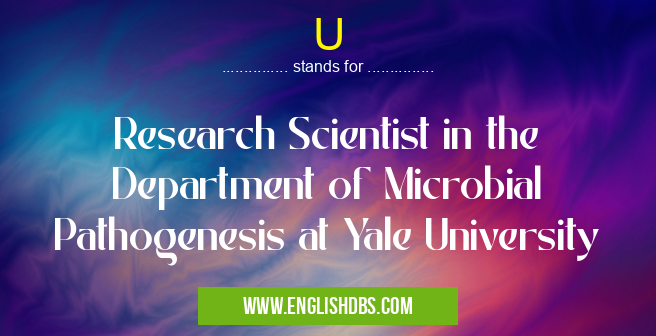 U means Research Scientist in the Department of Microbial Pathogenesis at Yale University U