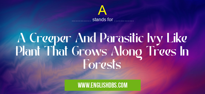 A means A Creeper And Parasitic Ivy Like Plant That Grows Along Trees In Forests A