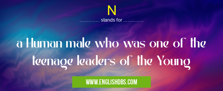 N means a Human male who was one of the teenage leaders of the Young N