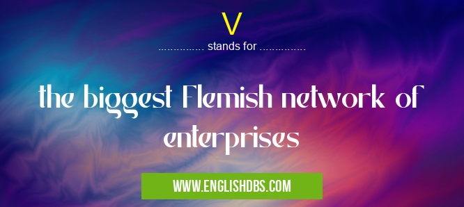 V means the biggest Flemish network of enterprises V