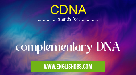 CDNA means complementary DNA CDNA