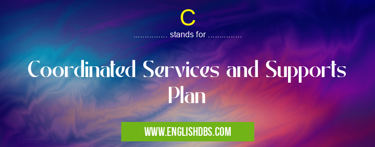 C means Coordinated Services and Supports Plan C