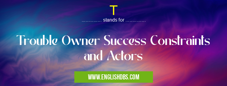 T means Trouble Owner Success Constraints and Actors T