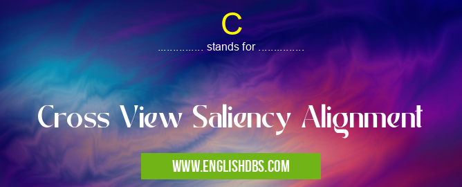 C means Cross View Saliency Alignment C