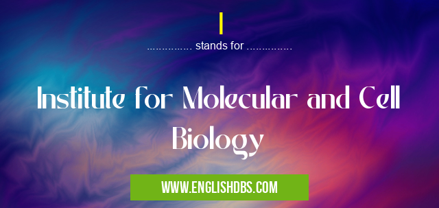 I means Institute for Molecular and Cell Biology I
