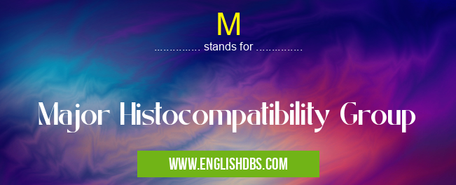 M means Major Histocompatibility Group M