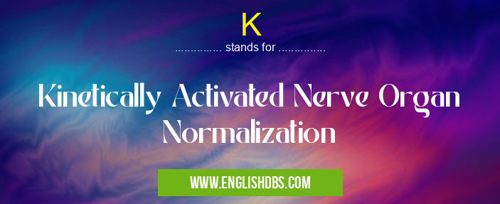 K means Kinetically Activated Nerve Organ Normalization K