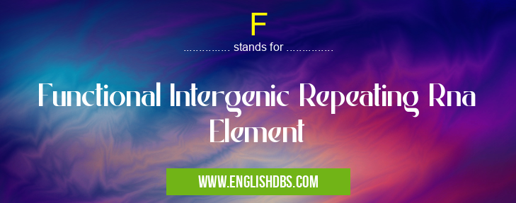 F means Functional Intergenic Repeating Rna Element F