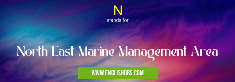 N means North East Marine Management Area N