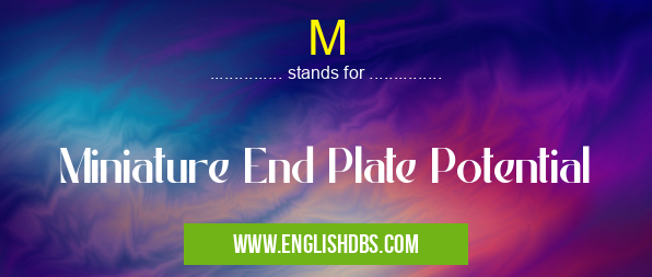 M means Miniature End Plate Potential M