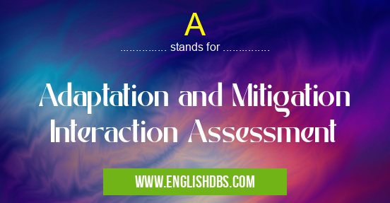 A means Adaptation and Mitigation Interaction Assessment A