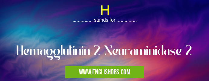 H means Hemagglutinin 2 Neuraminidase 2 H