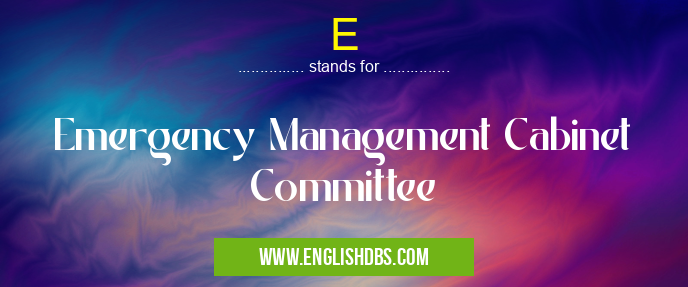 E means Emergency Management Cabinet Committee E