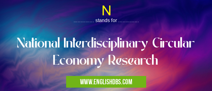 N means National Interdisciplinary Circular Economy Research N
