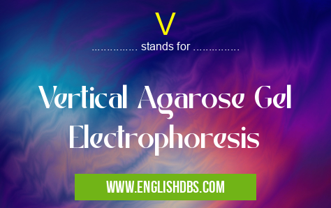 V means Vertical Agarose Gel Electrophoresis V