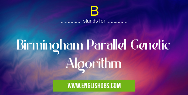 B means Birmingham Parallel Genetic Algorithm B