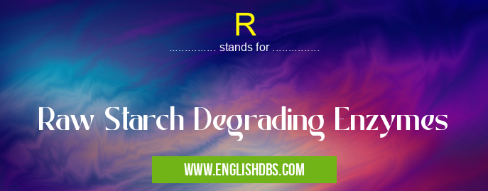 R means Raw Starch Degrading Enzymes R