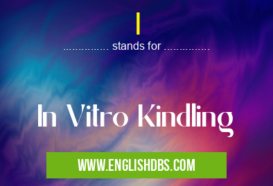I means In Vitro Kindling I