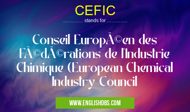 CEFIC means Conseil Européen des Fédérations de l'Industrie Chimique (European Chemical Industry Council CEFIC