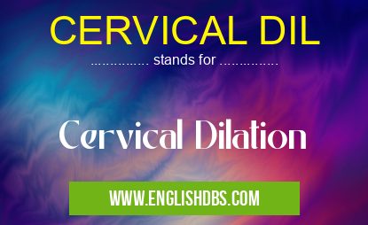 CERVICAL DIL means Cervical Dilation CERVICAL DIL