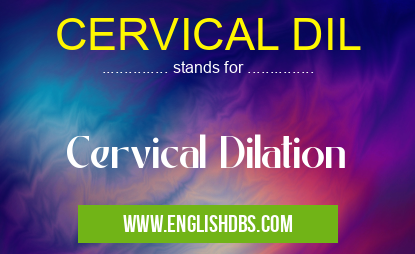 CERVICAL DIL