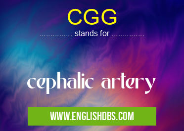 CGG means cephalic artery CGG