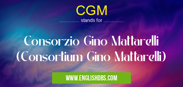 CGM means Consorzio Gino Mattarelli (Consortium Gino Mattarelli) CGM