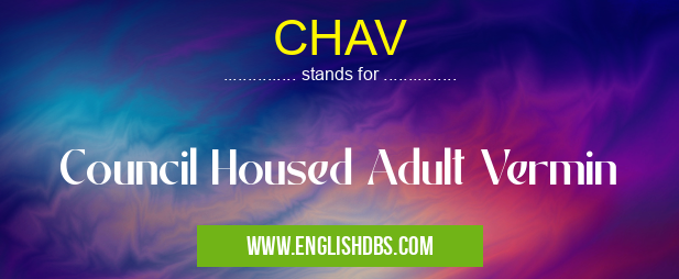 CHAV means Council Housed Adult Vermin CHAV