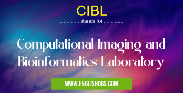 CIBL means Computational Imaging and Bioinformatics Laboratory CIBL