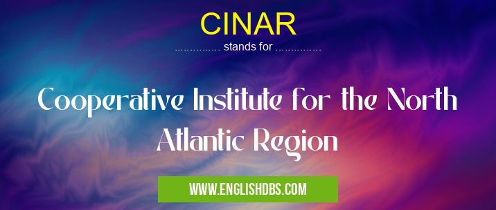 CINAR means Cooperative Institute for the North Atlantic Region CINAR