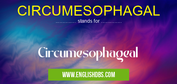 CIRCUMESOPHAGAL means Circumesophageal CIRCUMESOPHAGAL