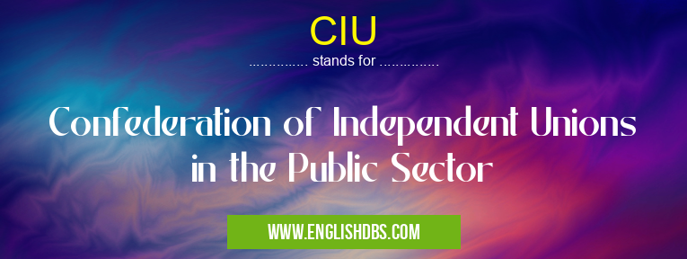 CIU means Confederation of Independent Unions in the Public Sector CIU