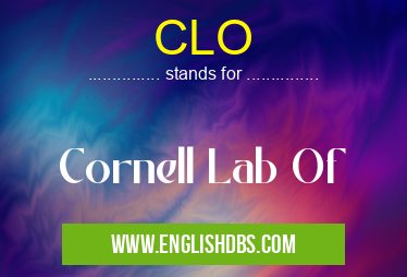 CLO means Cornell Lab Of CLO