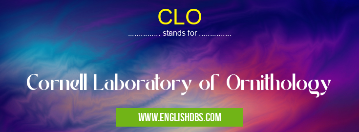 CLO means Cornell Laboratory of Ornithology CLO