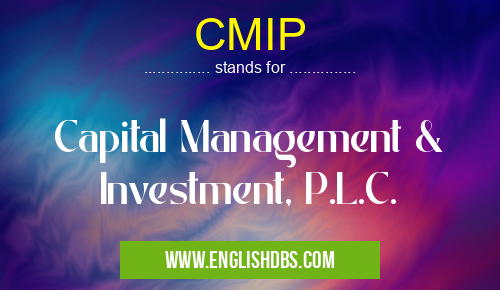 CMIP means Capital Management & Investment, P.L.C. CMIP