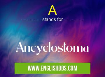 A means Ancyclostoma A