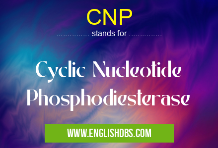 CNP means Cyclic Nucleotide Phosphodiesterase CNP