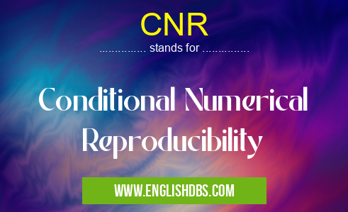 CNR means Conditional Numerical Reproducibility CNR