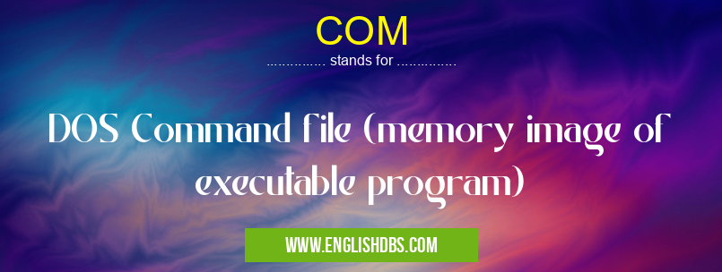 COM means DOS Command file (memory image of executable program) COM