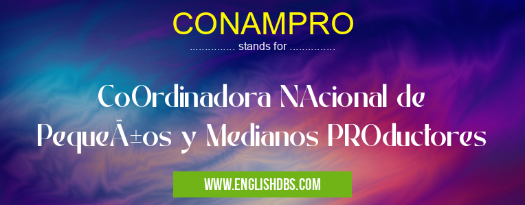 CONAMPRO means CoOrdinadora NAcional de Pequeños y Medianos PROductores CONAMPRO