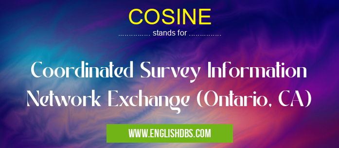 COSINE means Coordinated Survey Information Network Exchange (Ontario, CA) COSINE