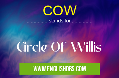 COW means Circle Of Willis COW