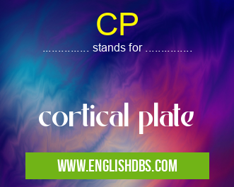 CP means cortical plate CP