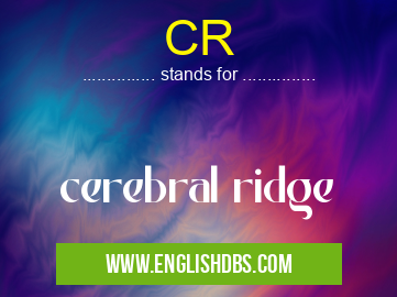 CR means cerebral ridge CR
