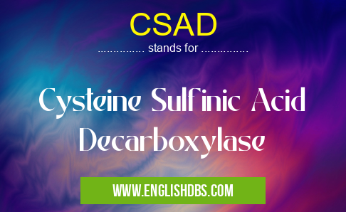 CSAD means Cysteine Sulfinic Acid Decarboxylase CSAD