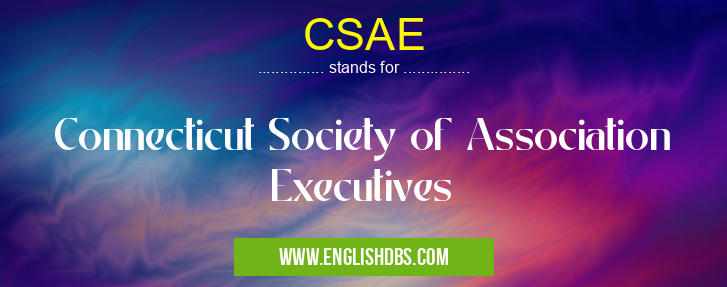 CSAE means Connecticut Society of Association Executives CSAE