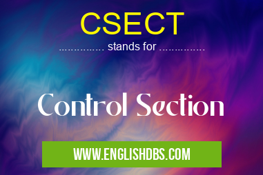 CSECT means Control Section CSECT
